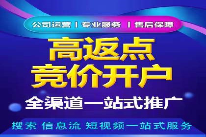 电商平台信息流广告的创意与优化：成功案例分析