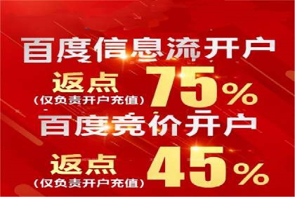 某品牌SEM代运营的成长历程与启示