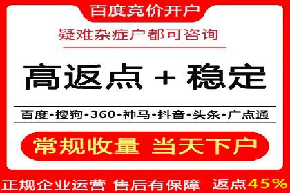 百度推广排名案例报告：某行业巨头如何运用其占领市场高地